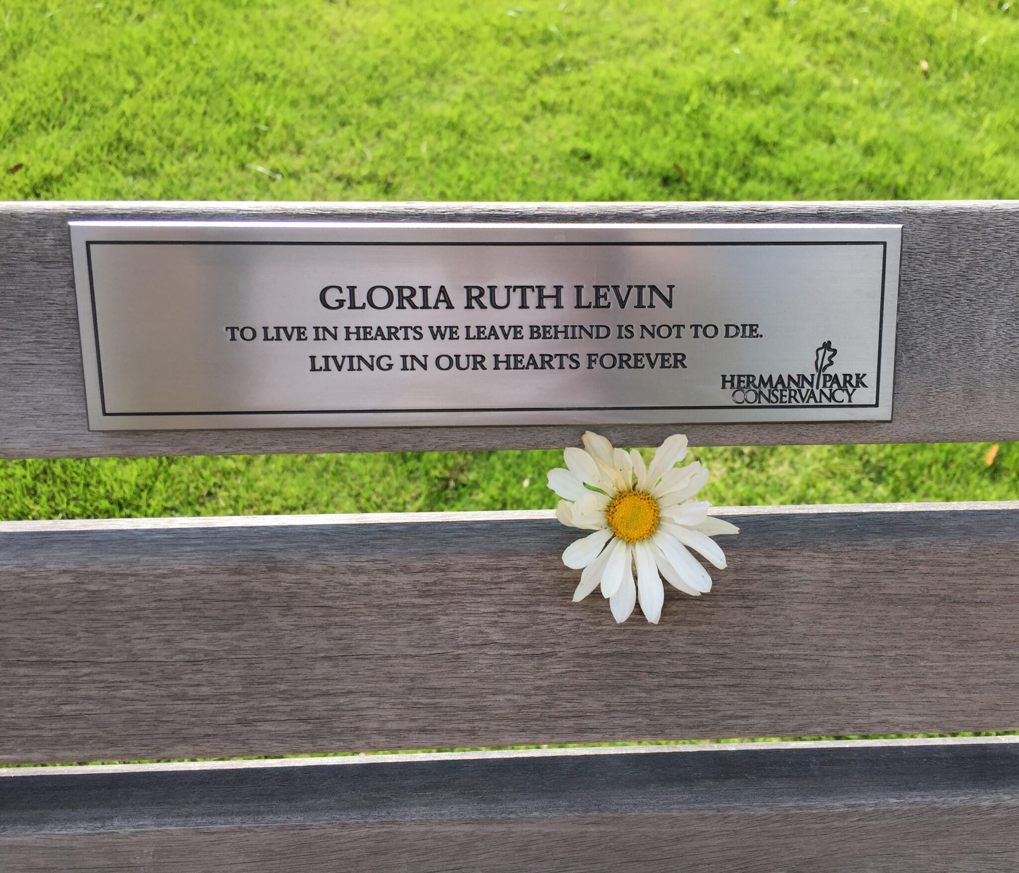 Gloria R. Levin Dedication Bench